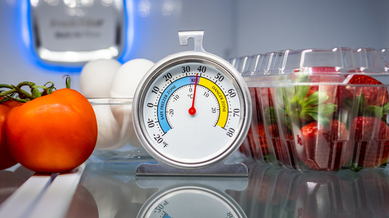 refrigerator thermometer surrounded by food