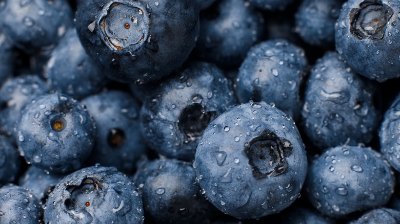 Blueberries with water droplets