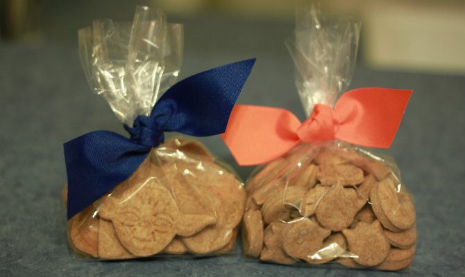 homemade dog treats with chicken broth