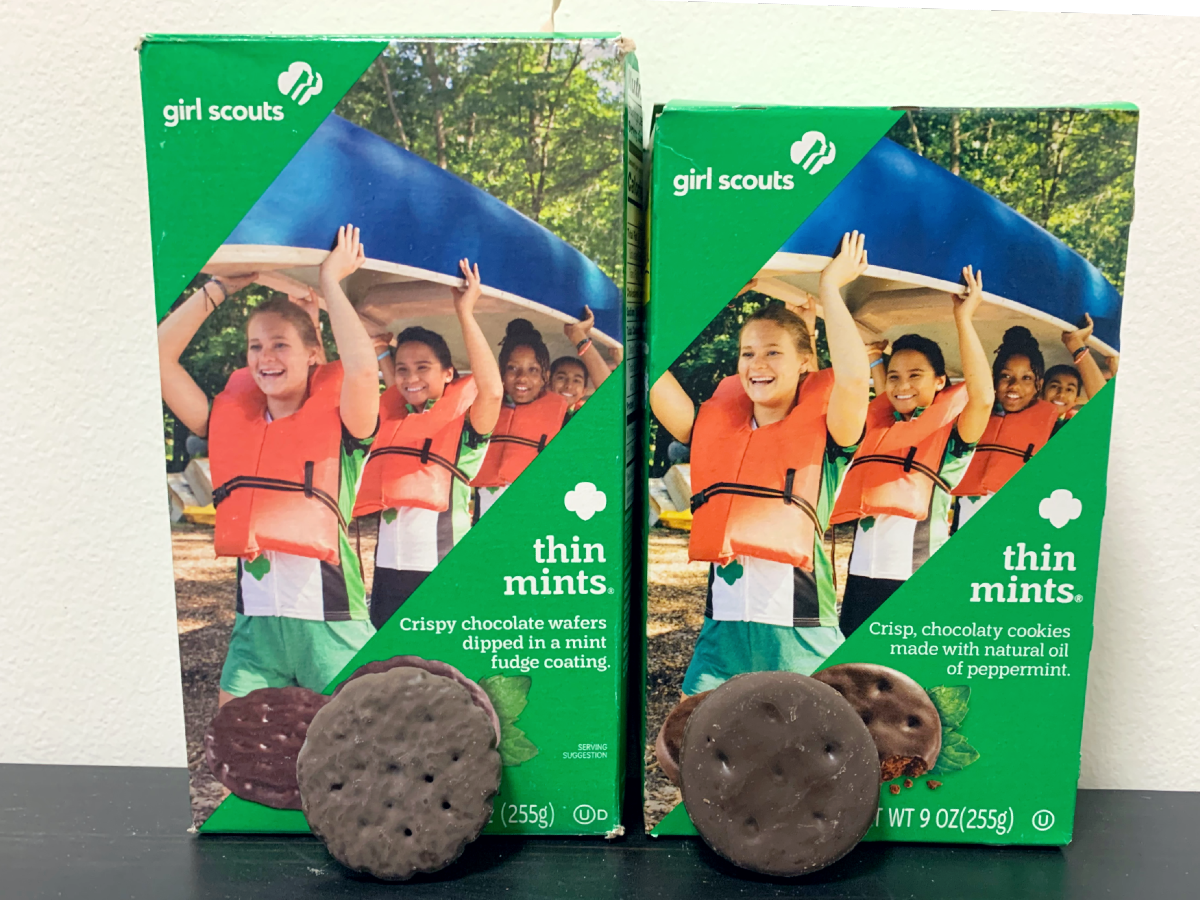 girl-scout-cookie-taste-test-little-brownie-bakers-vs-abc