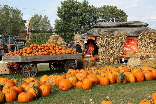 America's Amazing Pumpkin Patches You Need to Visit Now